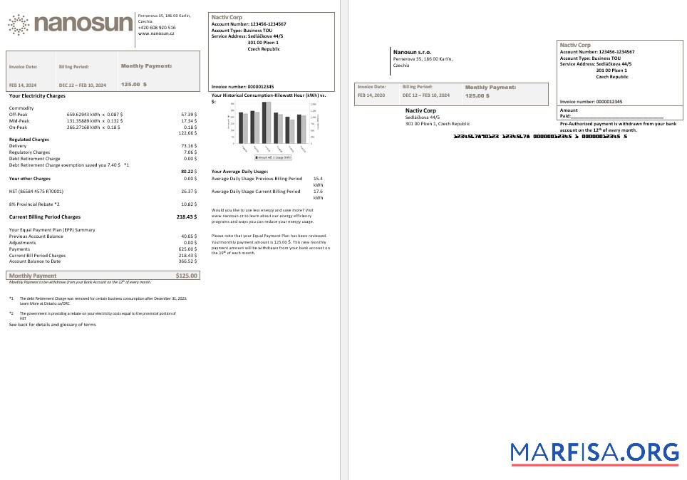 Realistic Czech Republic Nanosun sro business utility bill template in Word in pfd formats